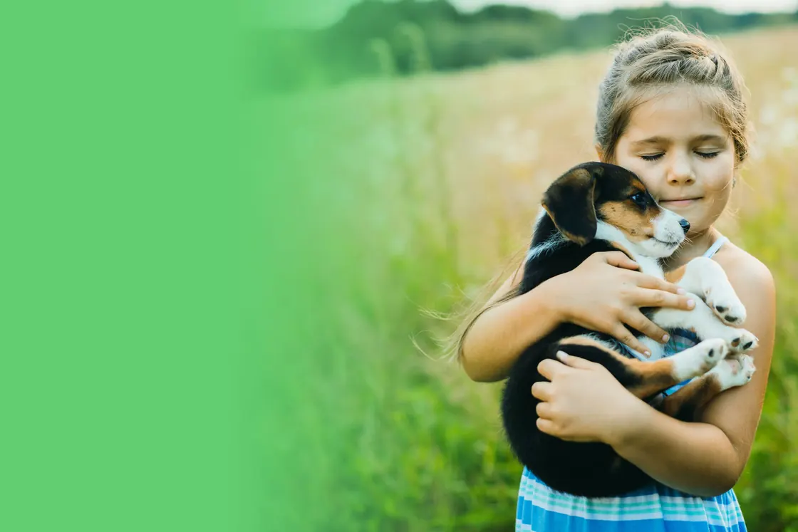 A young girl tenderly cradling her puppy in a sunlit meadow
